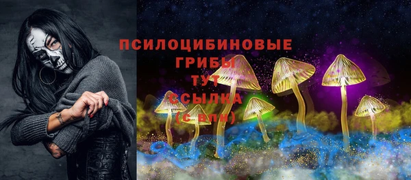 дмт Аркадак