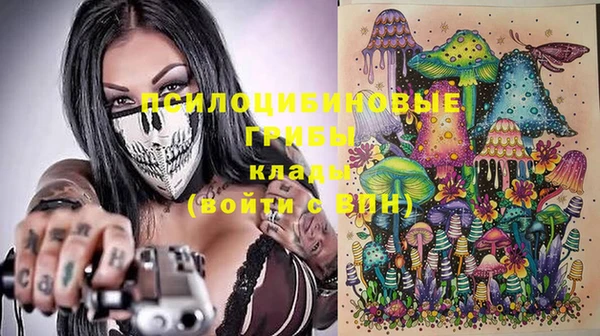 дмт Аркадак