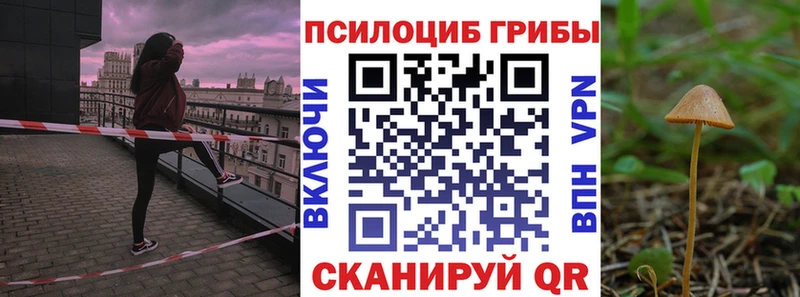 что такое наркотик  Горбатов  Галлюциногенные грибы мухоморы 